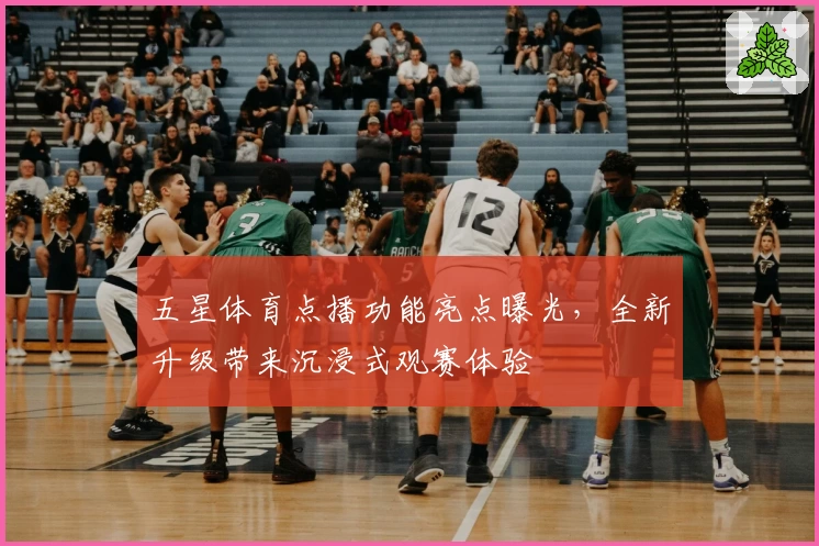 五星体育点播功能亮点曝光，全新升级带来沉浸式观赛体验