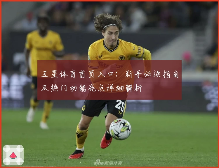 五星体育首页入口：新手必读指南及热门功能亮点详细解析