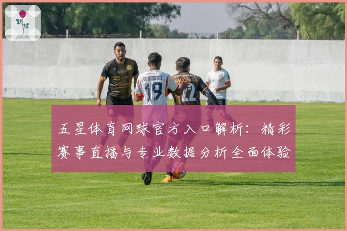 五星体育网球官方入口解析：精彩赛事直播与专业数据分析全面体验