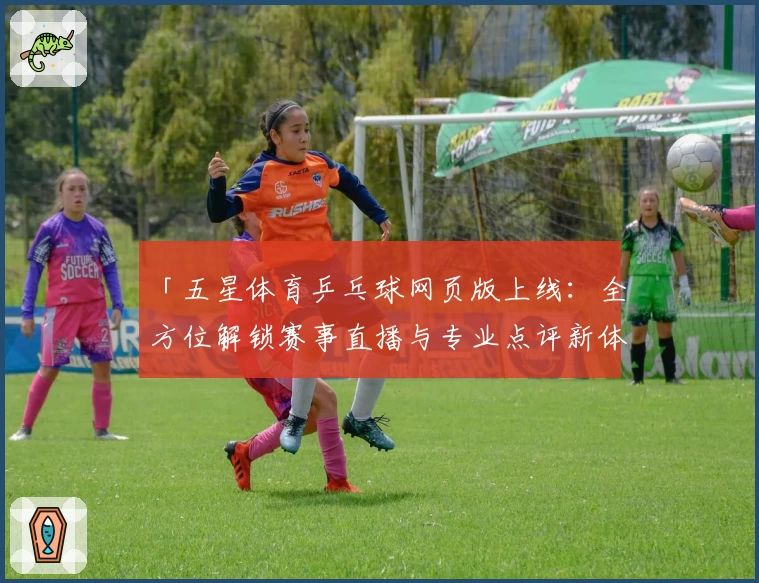 「五星体育乒乓球网页版上线：全方位解锁赛事直播与专业点评新体验」